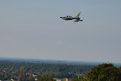 L39 Flugbild