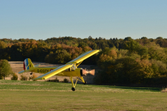 Storch